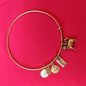Alex and Ani bracelet